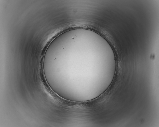 X0000114400578200911061540