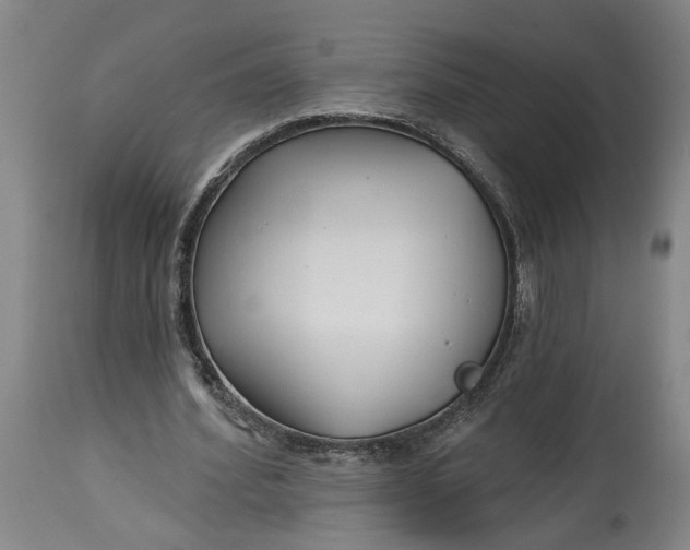 X0000114400580200911061540