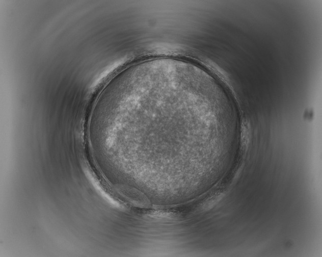 X0000114400581200911061540