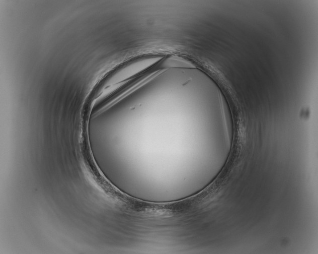 X0000114400582200911061540