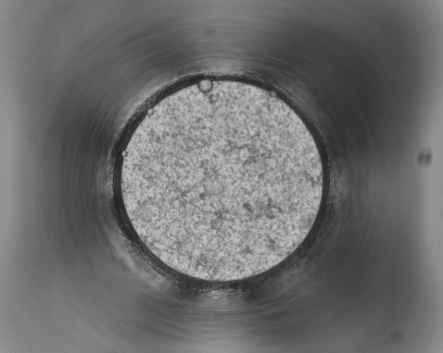 X0000114400584200911061540