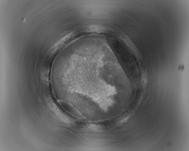 X0000114400585200911061540