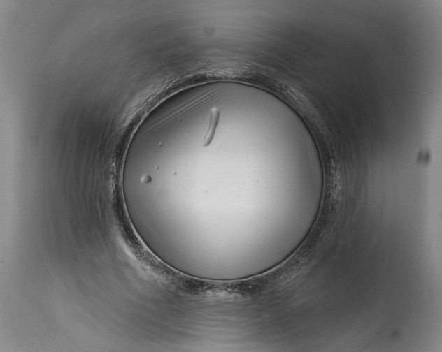 X0000114400586200911061540