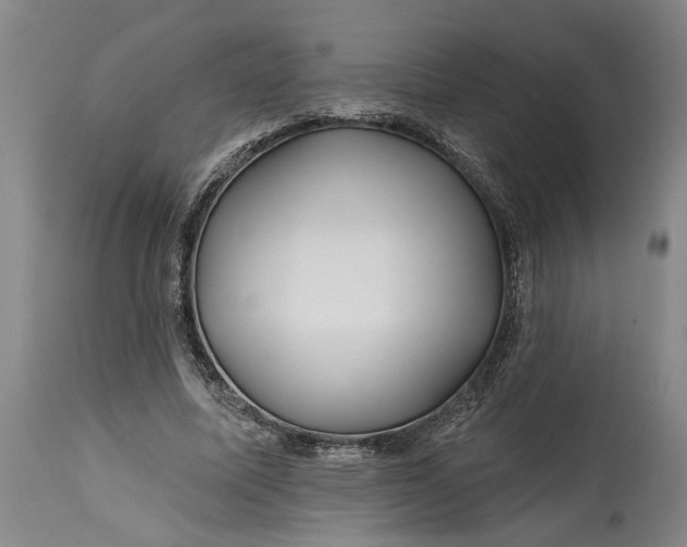 X0000114400587200911061540