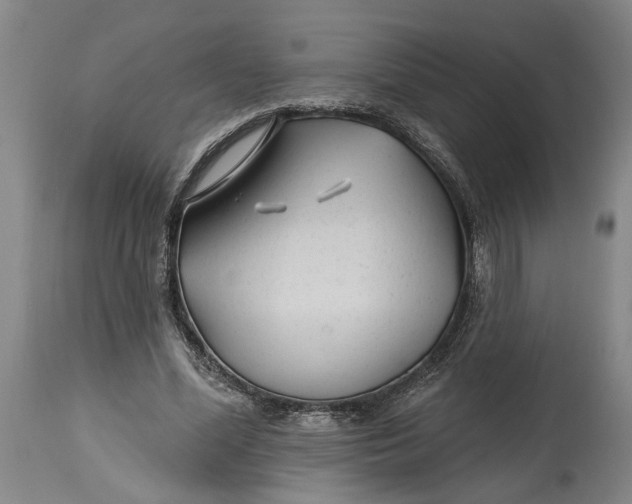 X0000114400588200911061540