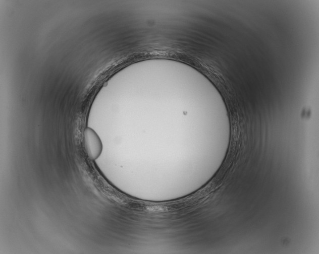 X0000114400591200911061539