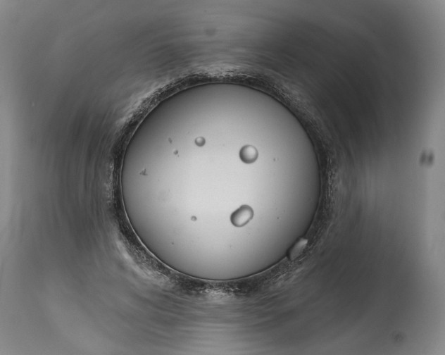 X0000114400592200911061539