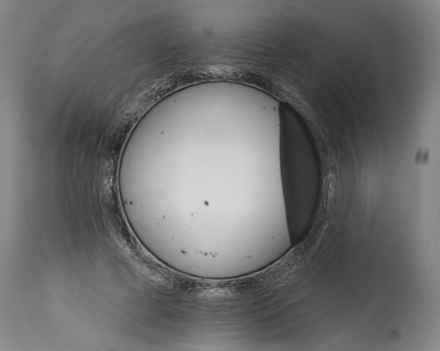 X0000114400593200911061539