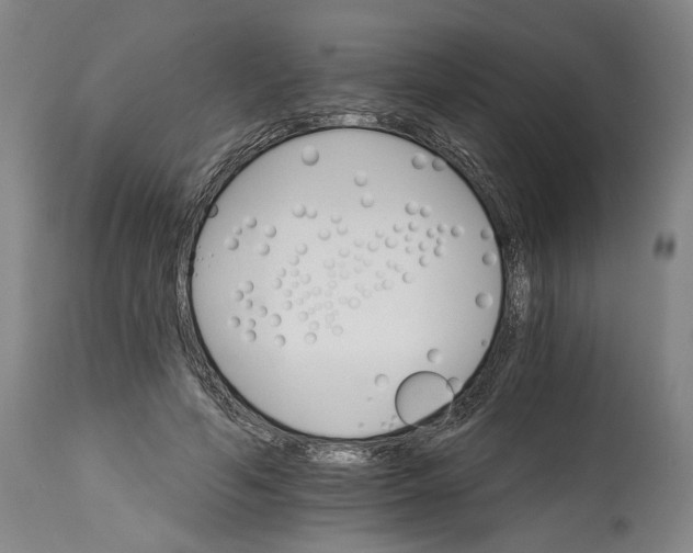 X0000114400594200911061539