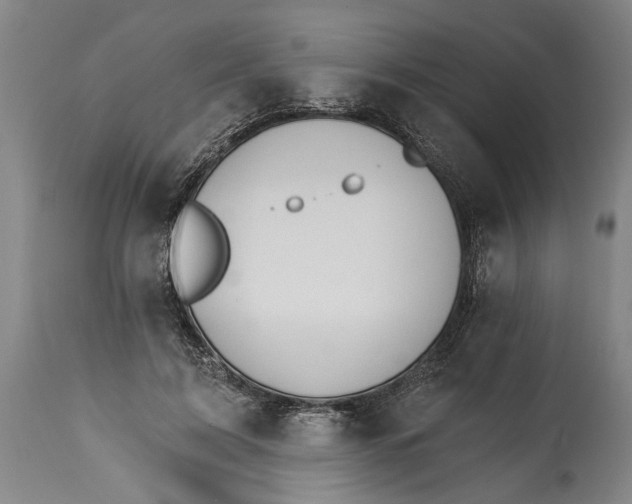 X0000114400595200911061539