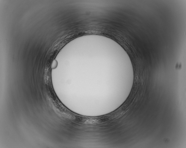 X0000114400599200911061539