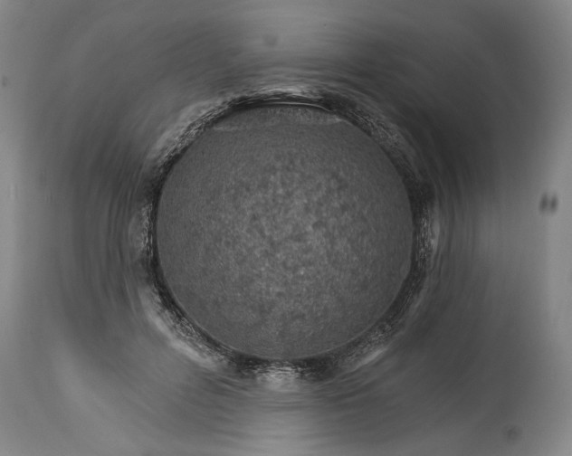 X0000114400600200911061539