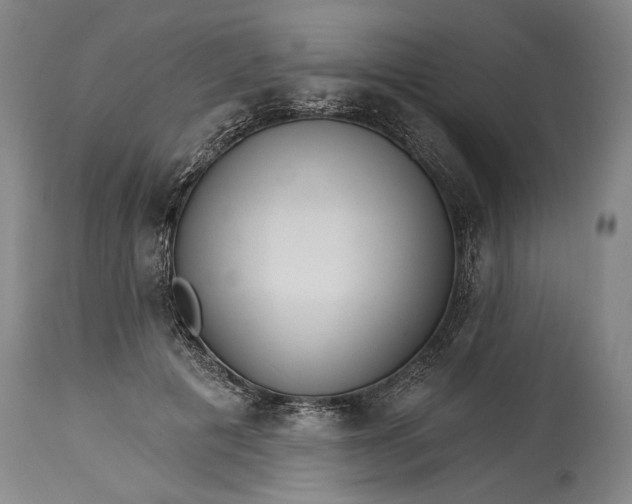 X0000114400601200911061539