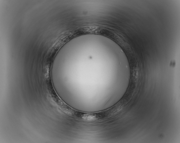 X0000114400602200911061539