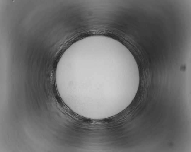 X0000114400604200911061539