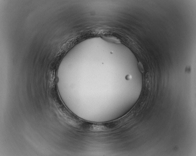 X0000114400605200911061539