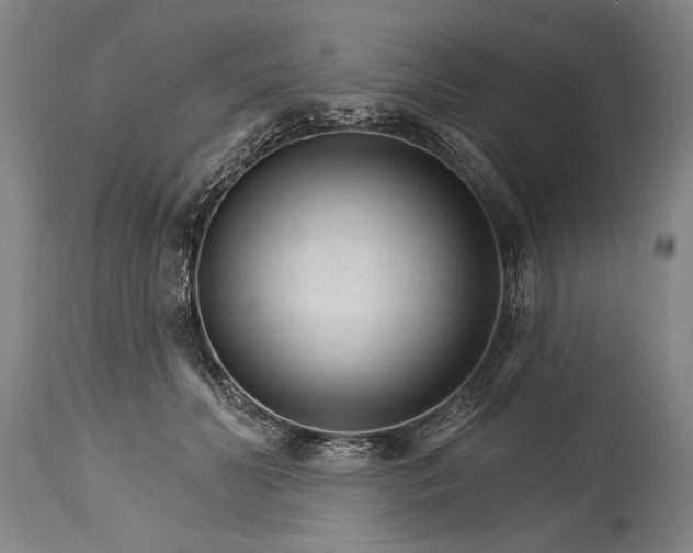 X0000114400606200911061539