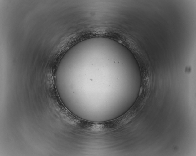 X0000114400609200911061539