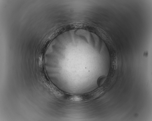 X0000114400610200911061539