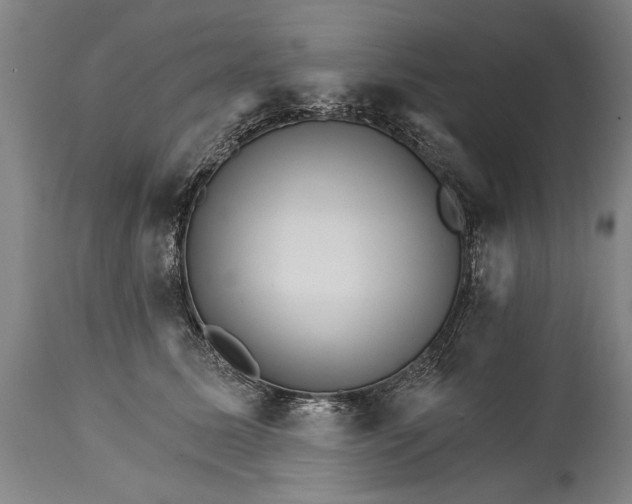 X0000114400611200911061539