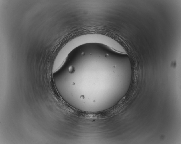 X0000114400613200911061539