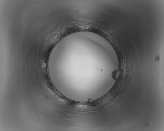 X0000114400614200911061539