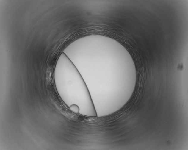 X0000114400615200911061539