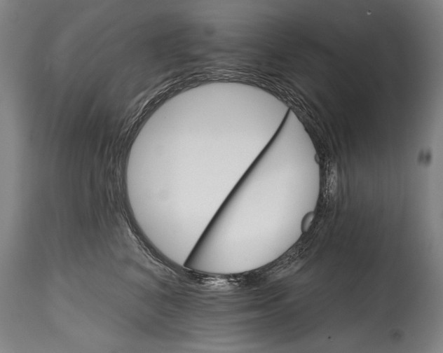 X0000114400616200911061539