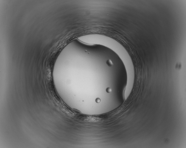 X0000114400617200911061539