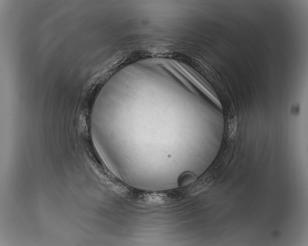 X0000114400618200911061539