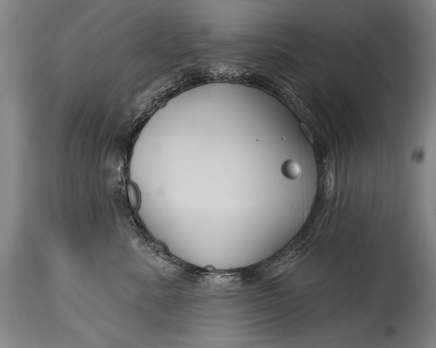 X0000114400619200911061539