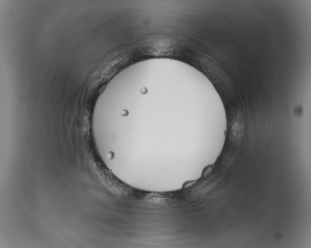 X0000114400620200911061539