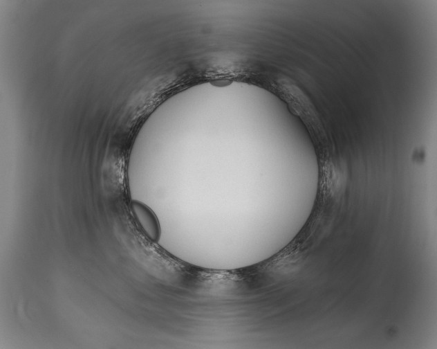 X0000114400621200911061539