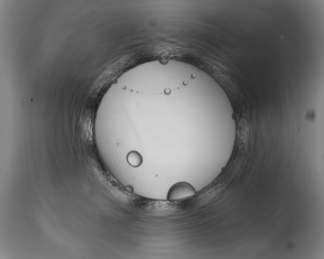 X0000114400622200911061539