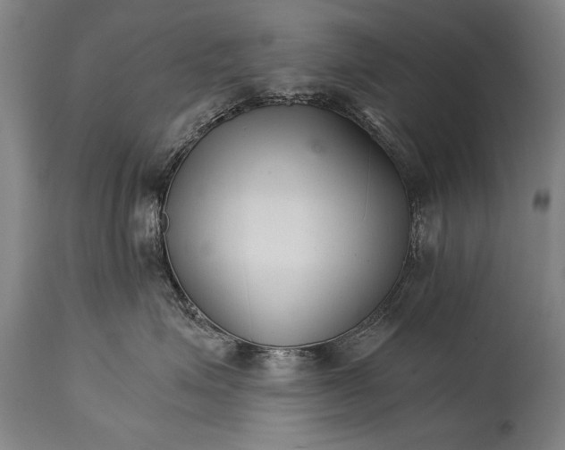 X0000114400623200911061539