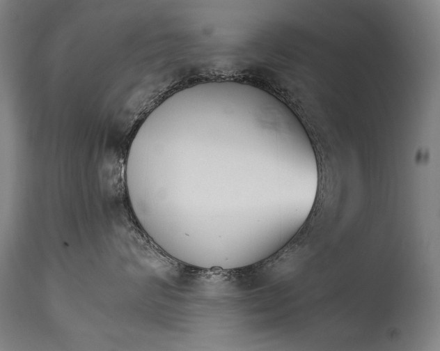 X0000114400624200911061539