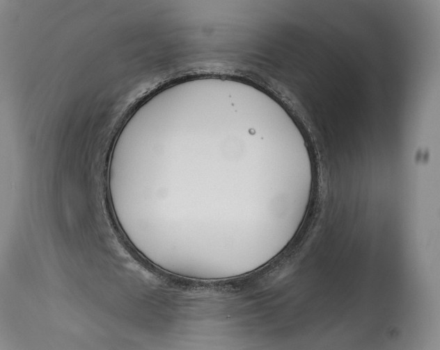 X0000114400625200911061538