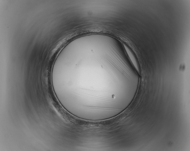 X0000114400626200911061538