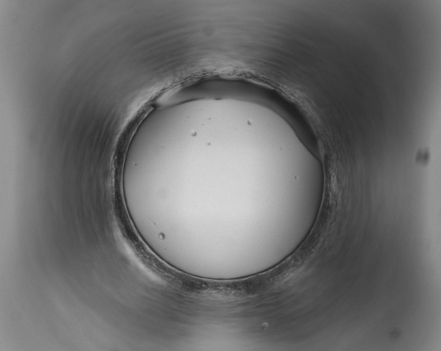 X0000114400630200911061538