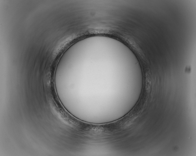 X0000114400631200911061538