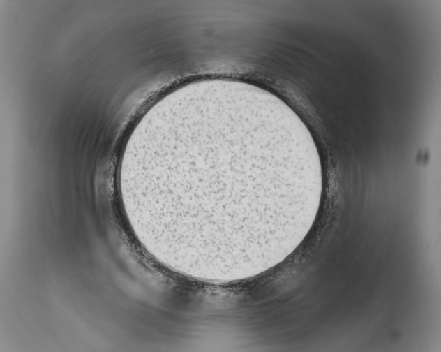 X0000114400632200911061538