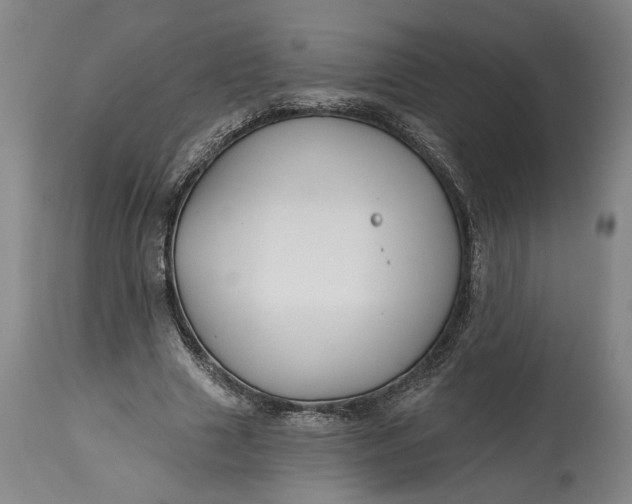 X0000114400633200911061538