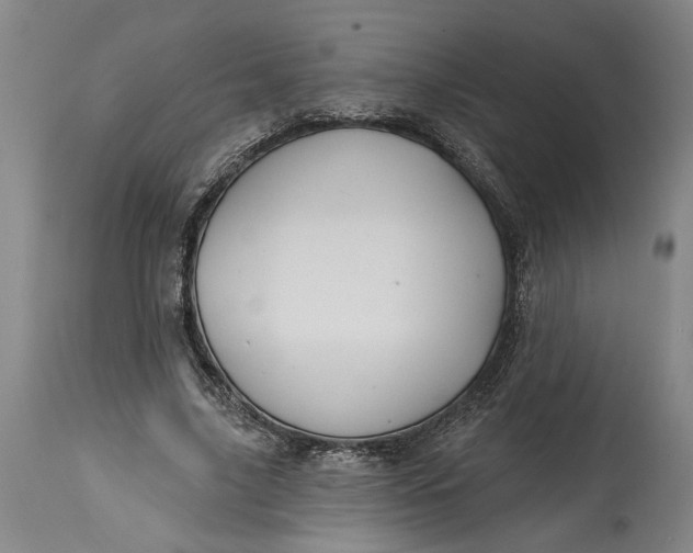 X0000114400635200911061538