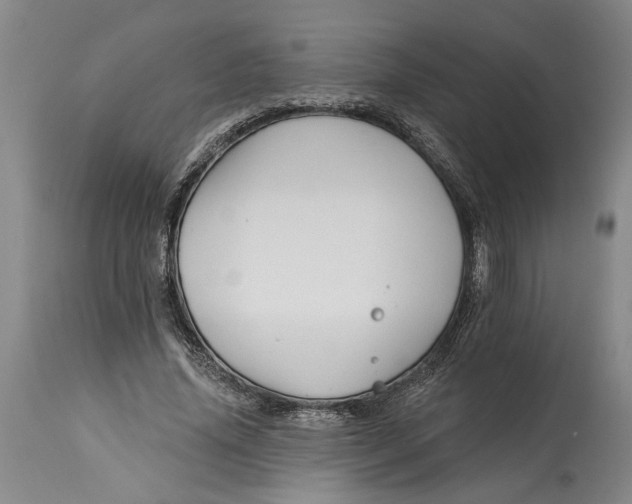 X0000114400636200911061538