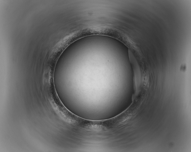 X0000114400637200911061538