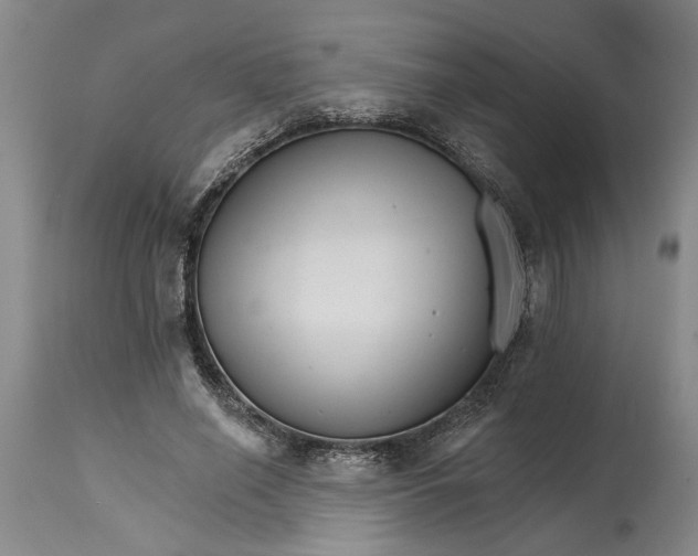 X0000114400638200911061538