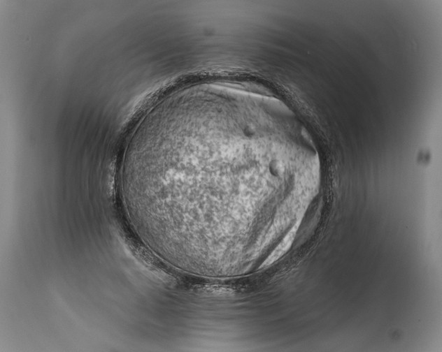 X0000114400640200911061538