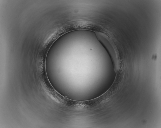 X0000114400642200911061538