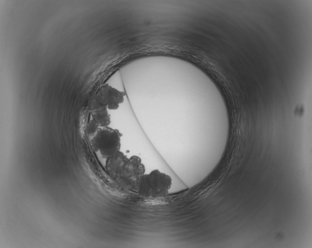 X0000114400644200911061538