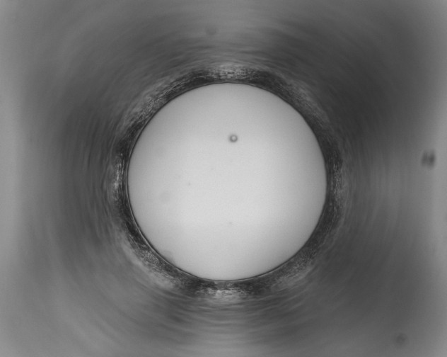 X0000114400645200911061538